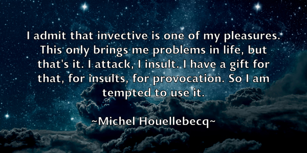 /images/quoteimage/michel-houellebecq-582039.jpg