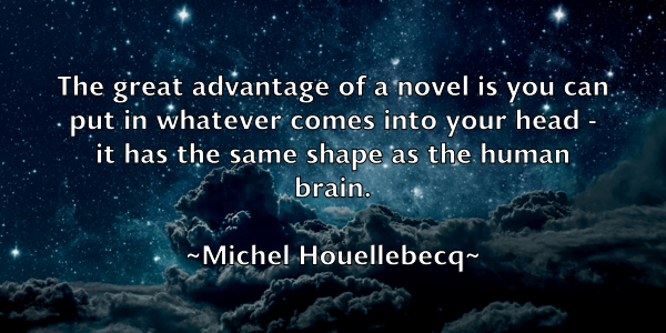 /images/quoteimage/michel-houellebecq-582047.jpg