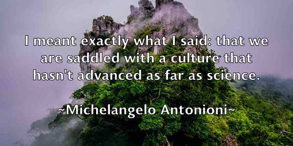 /images/quoteimage/michelangelo-antonioni-582212.jpg