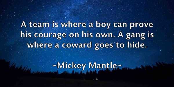 /images/quoteimage/mickey-mantle-584872.jpg