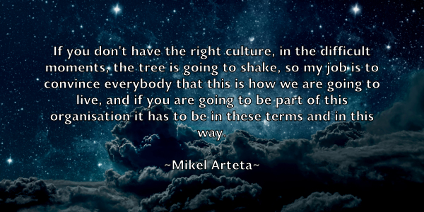 /images/quoteimage/mikel-arteta-590063.jpg