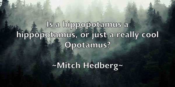 /images/quoteimage/mitch-hedberg-593946.jpg