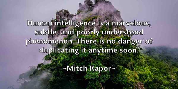 /images/quoteimage/mitch-kapor-594012.jpg