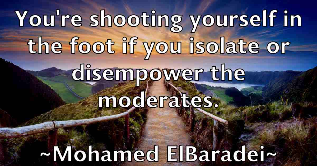 /images/quoteimage/mohamed-elbaradei-fb-596301.jpg