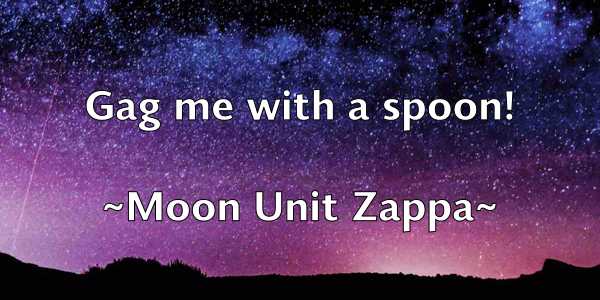 /images/quoteimage/moon-unit-zappa-599065.jpg