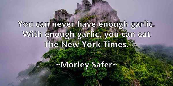 /images/quoteimage/morley-safer-599703.jpg