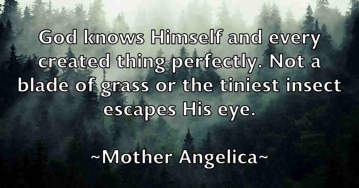 /images/quoteimage/mother-angelica-fb-600631.jpg