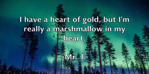 /images/quoteimage/mr-t-600933.jpg