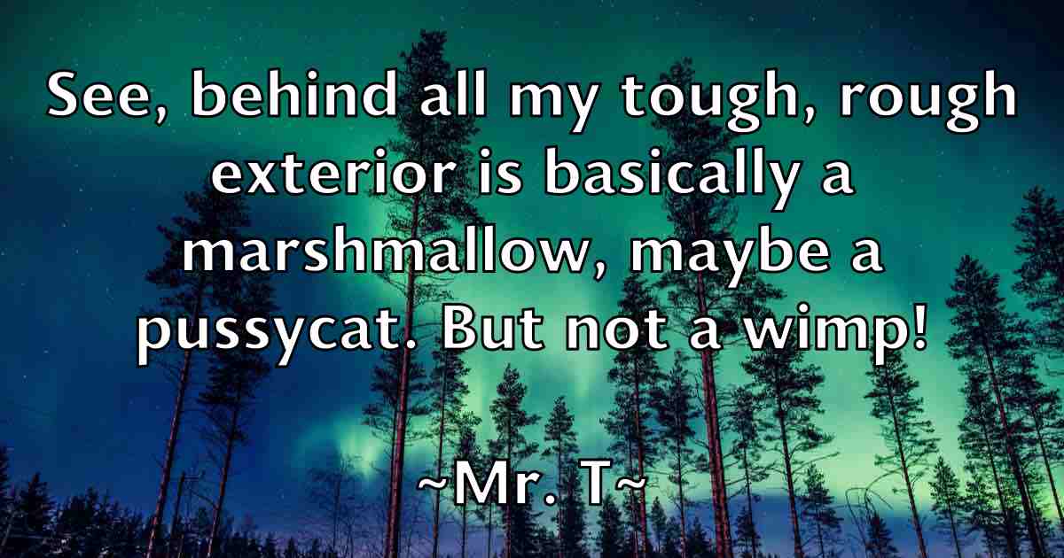 /images/quoteimage/mr-t-fb-600987.jpg
