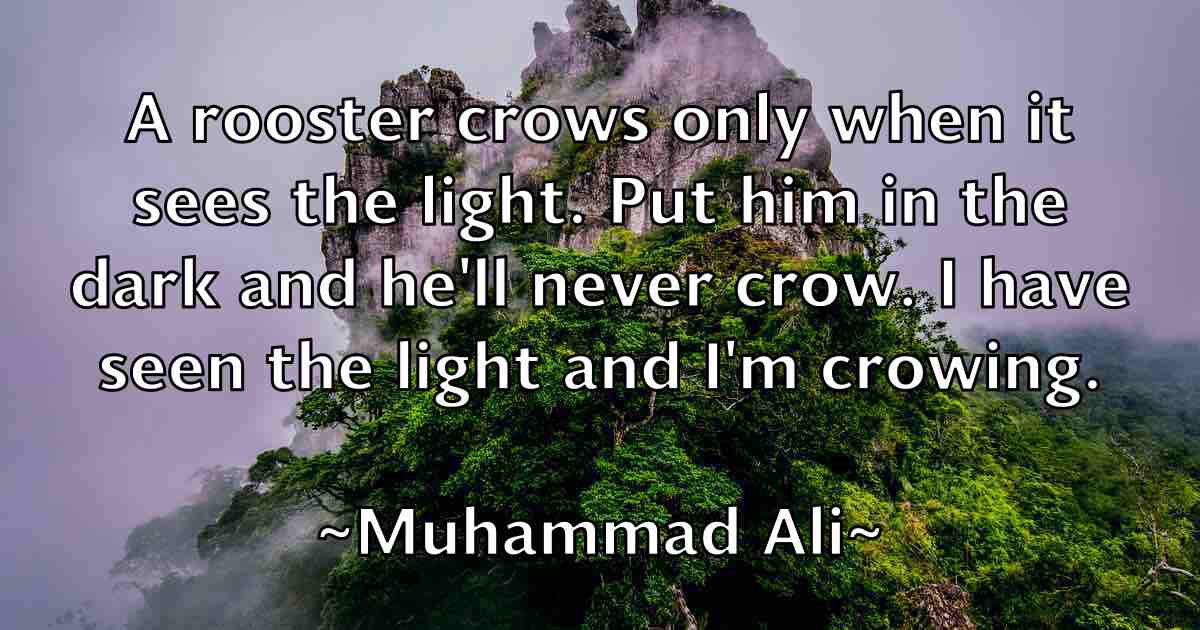 /images/quoteimage/muhammad-ali-fb-601345.jpg