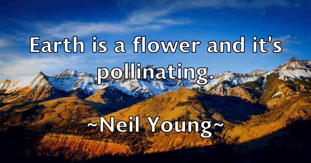 /images/quoteimage/neil-young-fb-613481.jpg