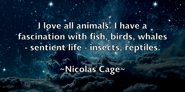 /images/quoteimage/nicolas-cage-619209.jpg