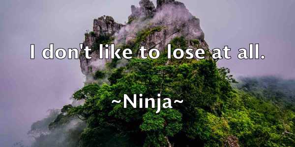 /images/quoteimage/ninja-ninja-623300.jpg