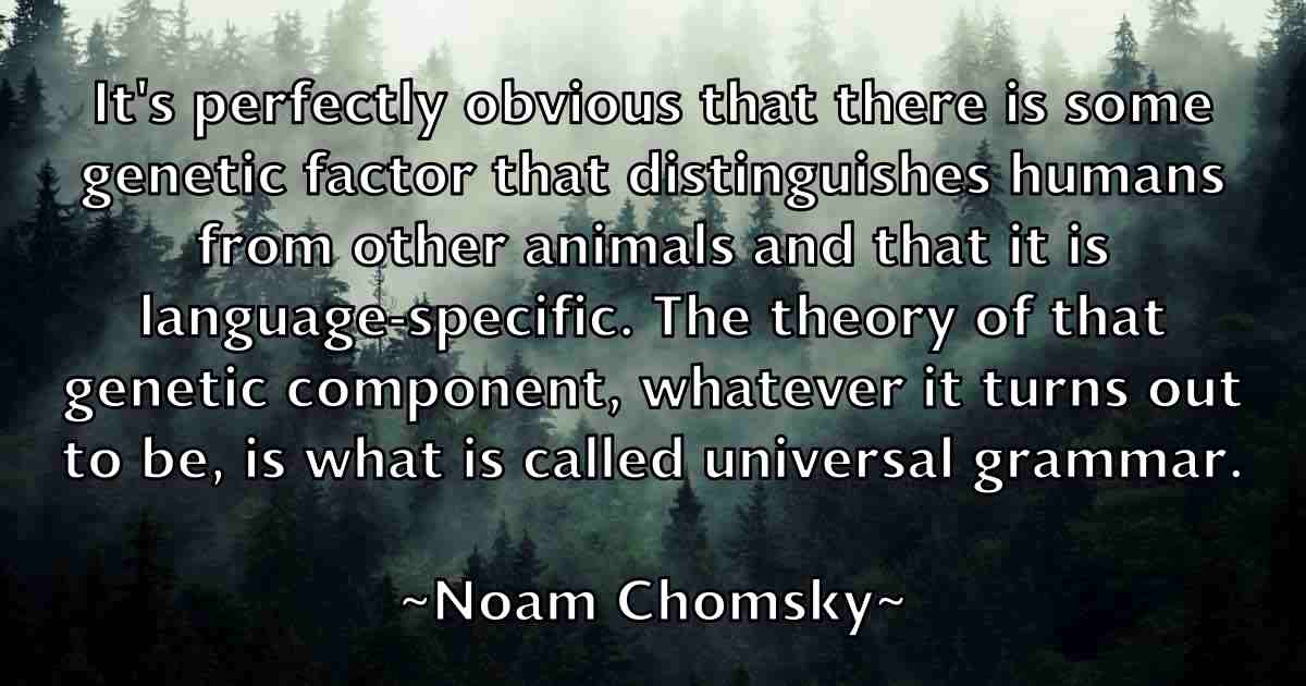 /images/quoteimage/noam-chomsky-fb-624644.jpg