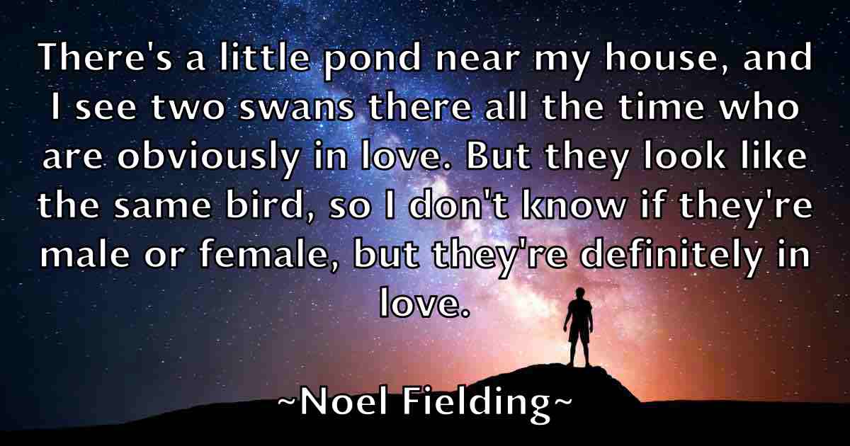 /images/quoteimage/noel-fielding-fb-625366.jpg
