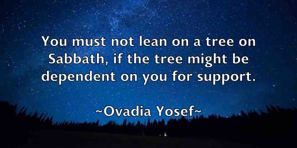 /images/quoteimage/ovadia-yosef-633750.jpg