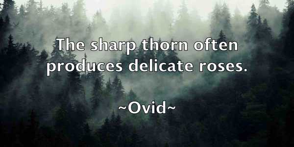 /images/quoteimage/ovid-ovid-633765.jpg