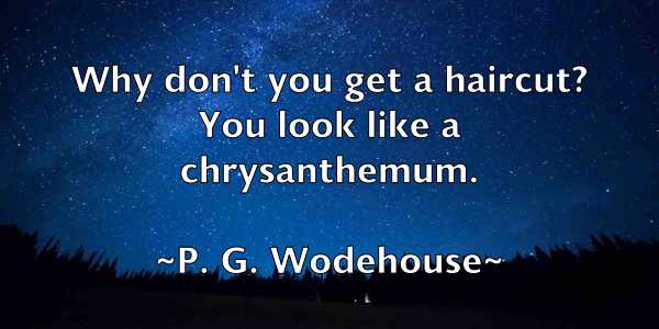 /images/quoteimage/p-g-wodehouse-634355.jpg