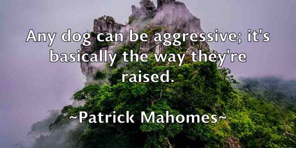 /images/quoteimage/patrick-mahomes-640932.jpg