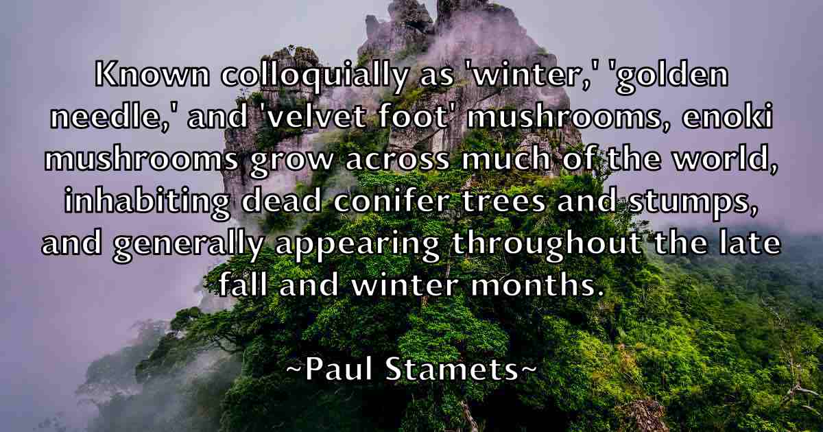 /images/quoteimage/paul-stamets-fb-647842.jpg