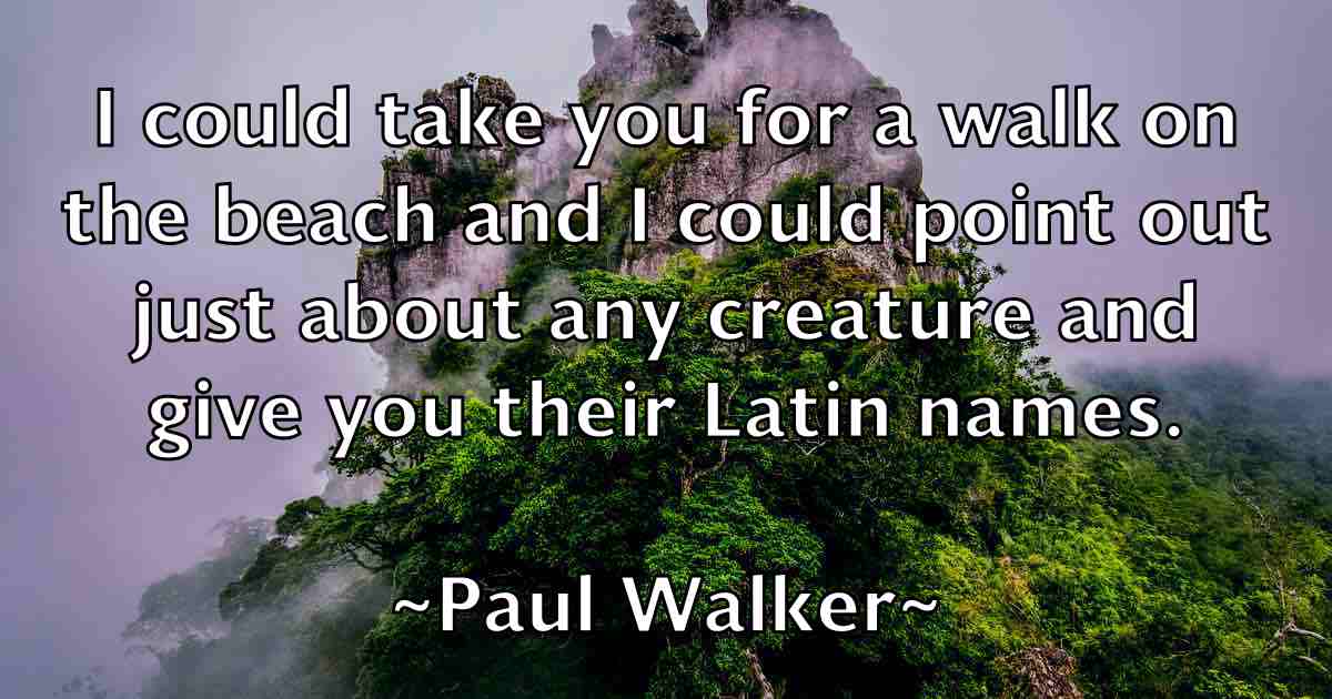 /images/quoteimage/paul-walker-fb-648391.jpg