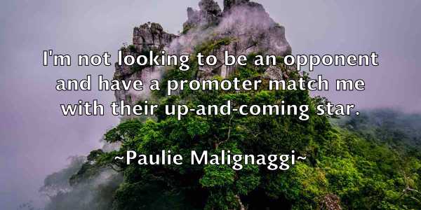 /images/quoteimage/paulie-malignaggi-649552.jpg