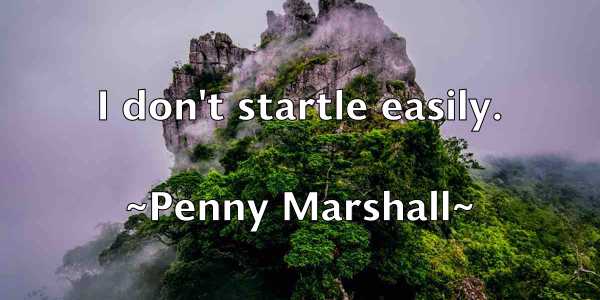 /images/quoteimage/penny-marshall-651788.jpg