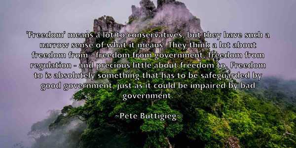 /images/quoteimage/pete-buttigieg-652709.jpg