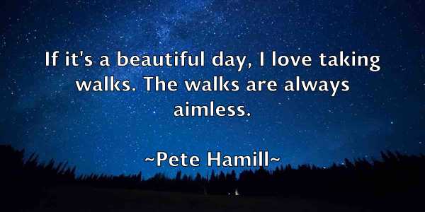 /images/quoteimage/pete-hamill-653135.jpg