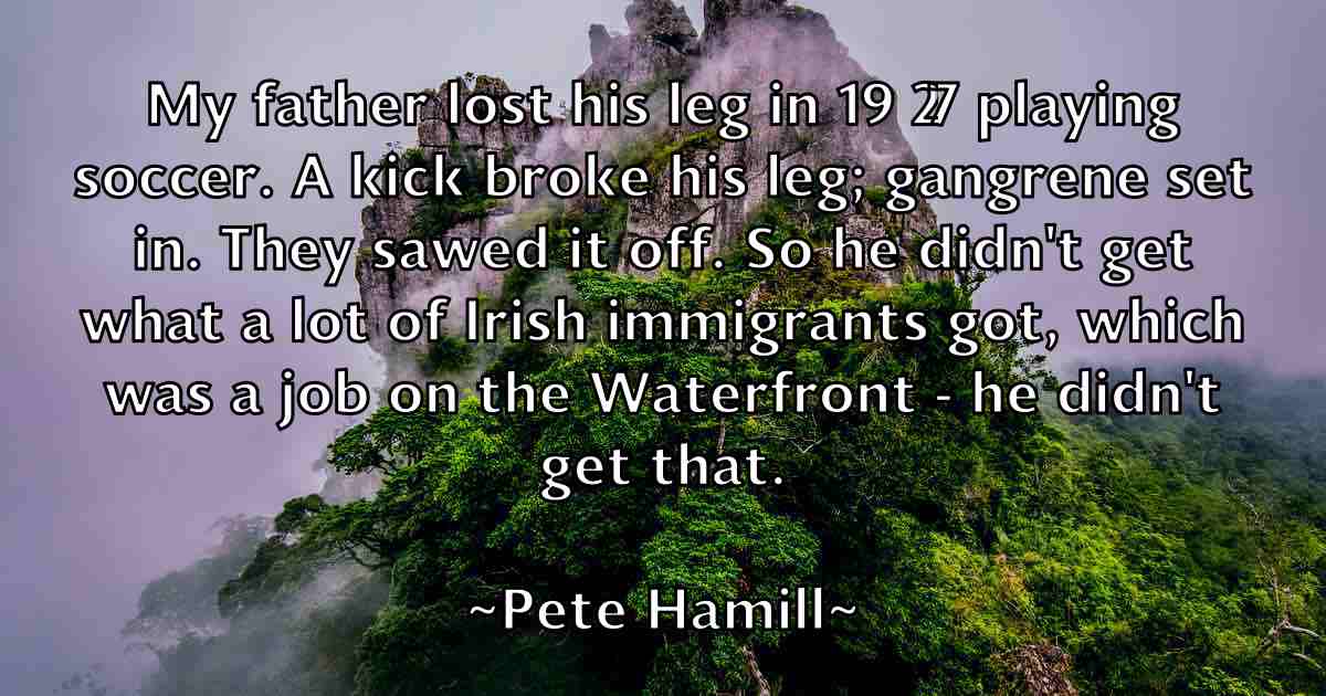 /images/quoteimage/pete-hamill-fb-653173.jpg