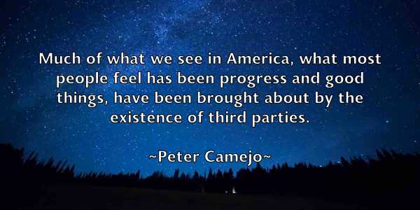 /images/quoteimage/peter-camejo-654553.jpg
