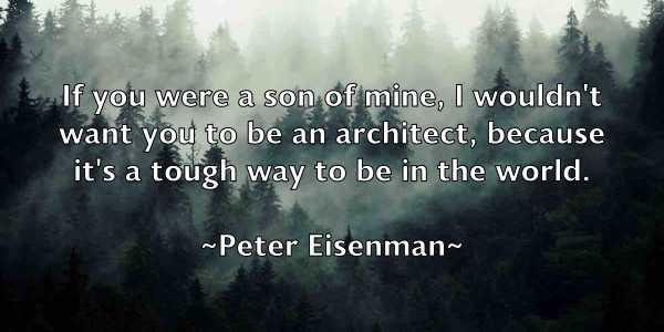 /images/quoteimage/peter-eisenman-655394.jpg