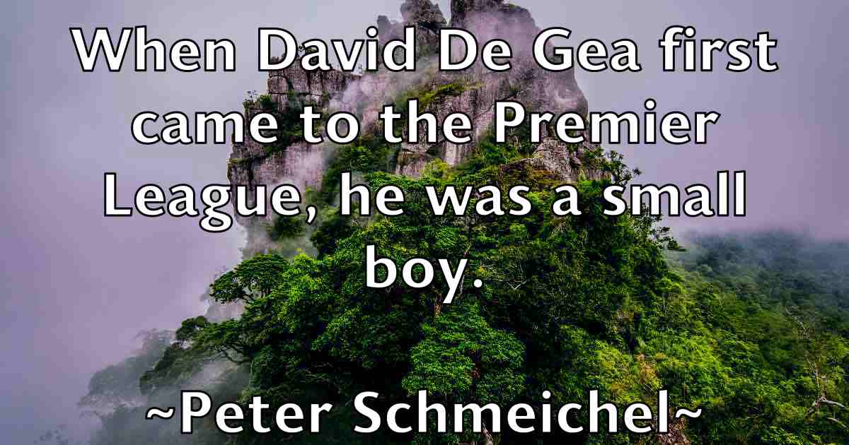 /images/quoteimage/peter-schmeichel-fb-657804.jpg