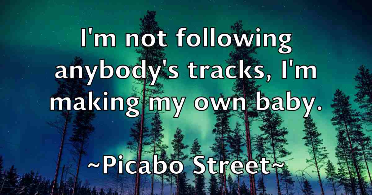 /images/quoteimage/picabo-street-fb-663760.jpg