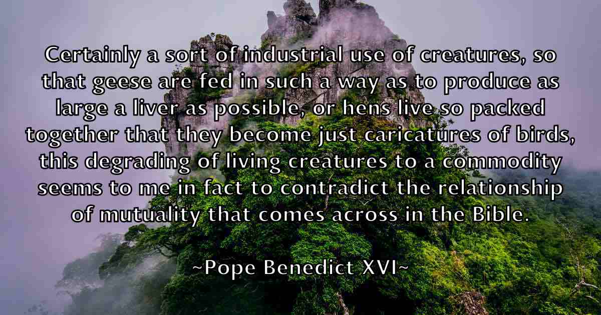 /images/quoteimage/pope-benedict-xvi-fb-666200.jpg