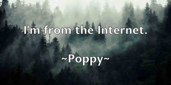 /images/quoteimage/poppy-poppy-666548.jpg