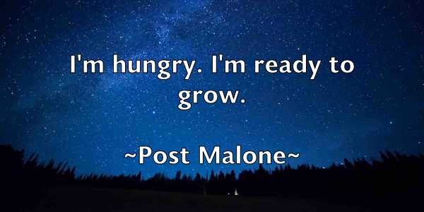 /images/quoteimage/post-malone-666905.jpg