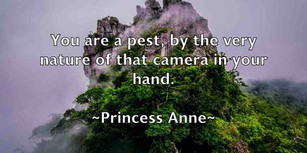 /images/quoteimage/princess-anne-668299.jpg