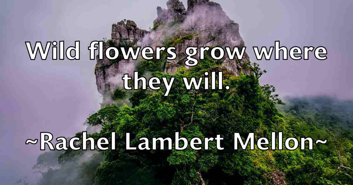 /images/quoteimage/rachel-lambert-mellon-fb-671670.jpg