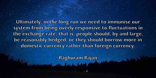 /images/quoteimage/raghuram-rajan-673868.jpg
