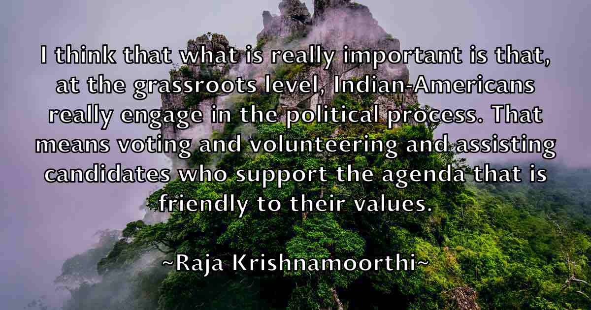 /images/quoteimage/raja-krishnamoorthi-fb-674700.jpg