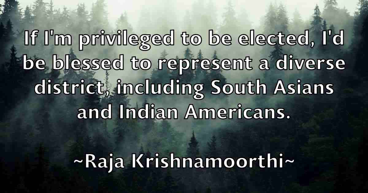 /images/quoteimage/raja-krishnamoorthi-fb-674753.jpg