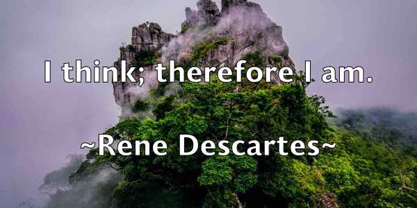 /images/quoteimage/rene-descartes-685452.jpg