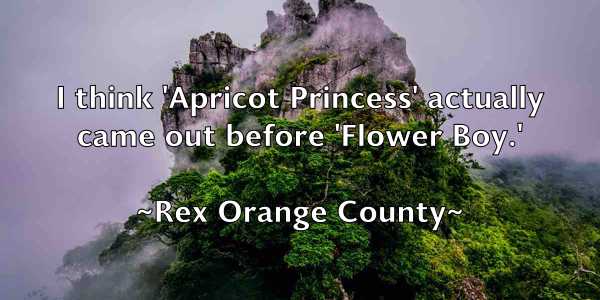 /images/quoteimage/rex-orange-county-686158.jpg