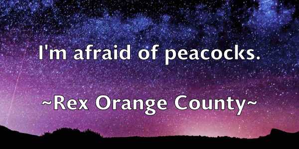 /images/quoteimage/rex-orange-county-686160.jpg