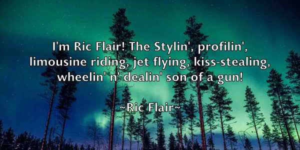 /images/quoteimage/ric-flair-687027.jpg