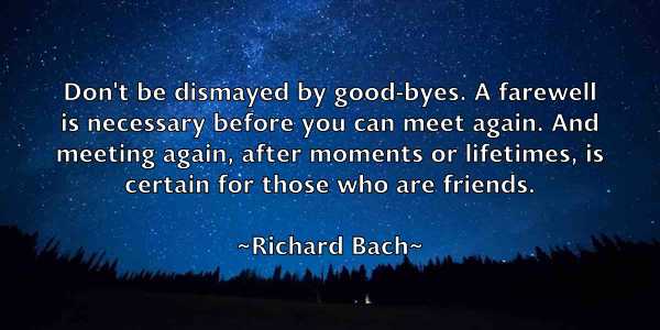 /images/quoteimage/richard-bach-687846.jpg