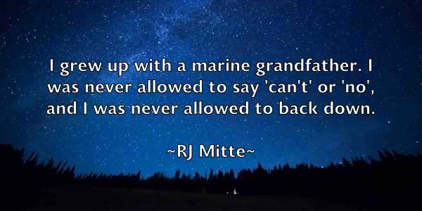 /images/quoteimage/rj-mitte-698141.jpg