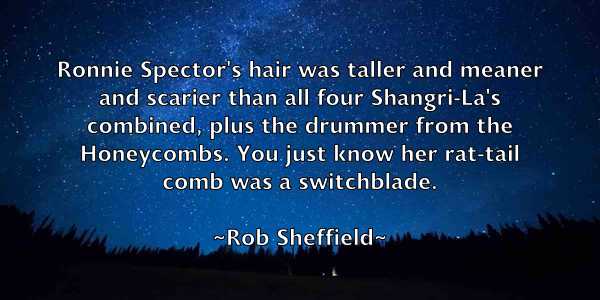 /images/quoteimage/rob-sheffield-699764.jpg