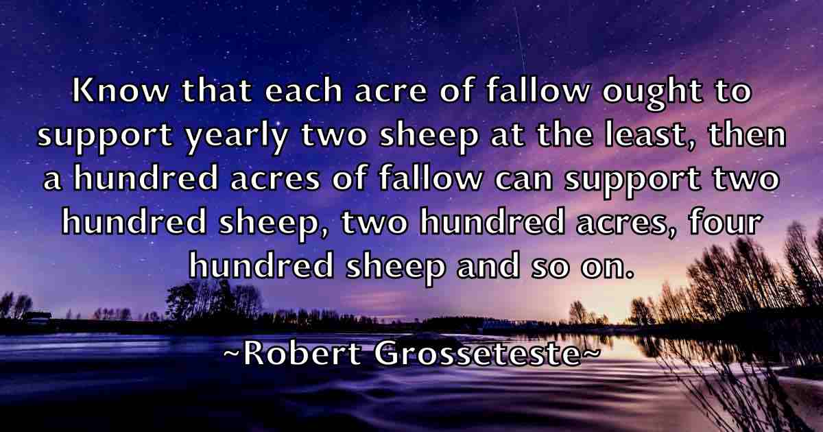 /images/quoteimage/robert-grosseteste-fb-703541.jpg
